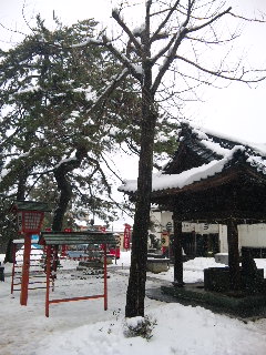 (untitled)