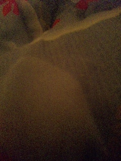 (untitled)