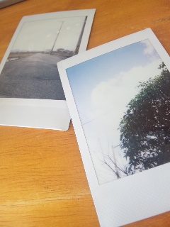 (untitled)