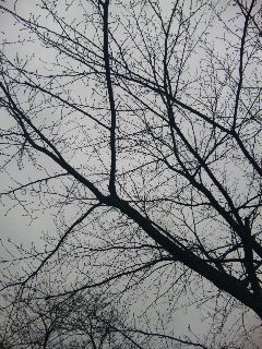 (untitled)