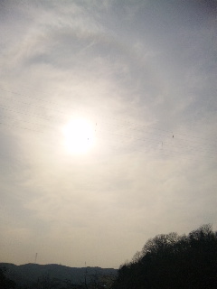 (untitled)