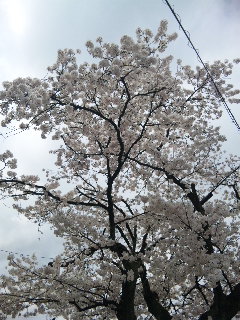 (untitled)