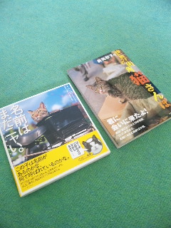 (untitled)