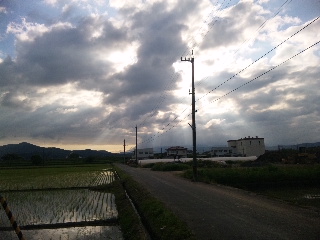 (untitled)