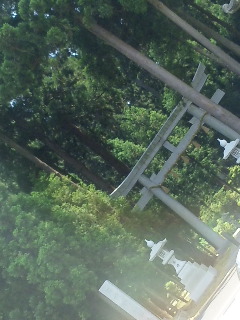 (untitled)