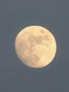 (untitled)
