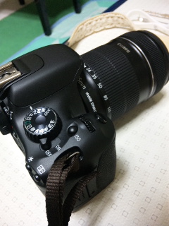 (untitled)