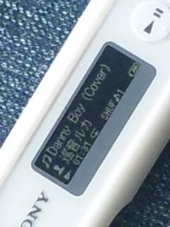 (untitled)