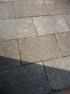 (untitled)
