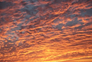 (untitled)
