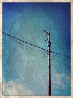 (untitled)