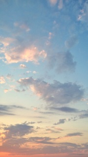 (untitled)
