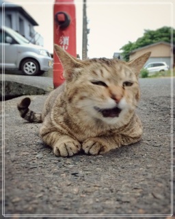 (untitled)